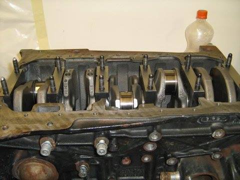 revver main caps.jpg