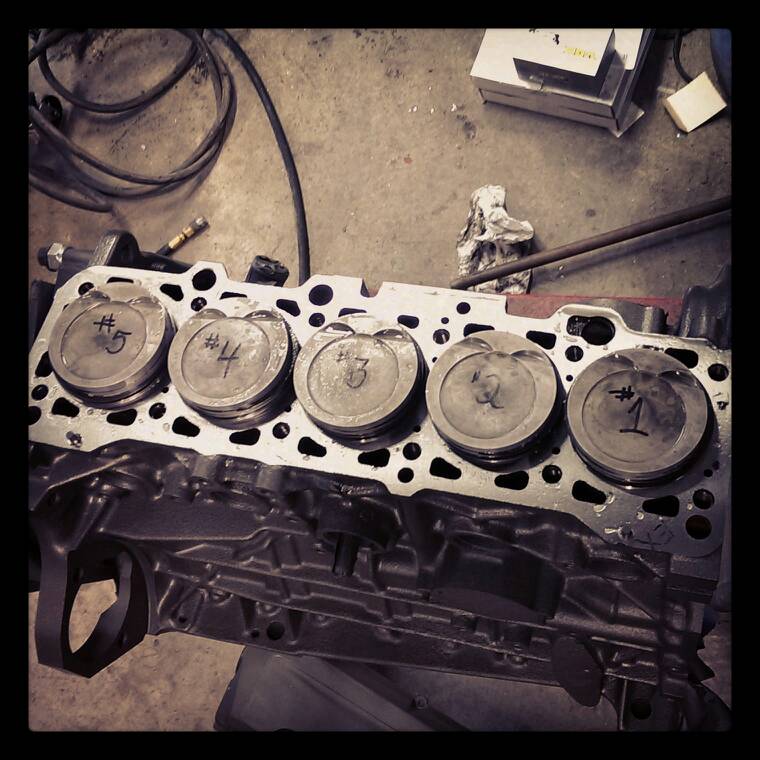 Pistons Resting on Block