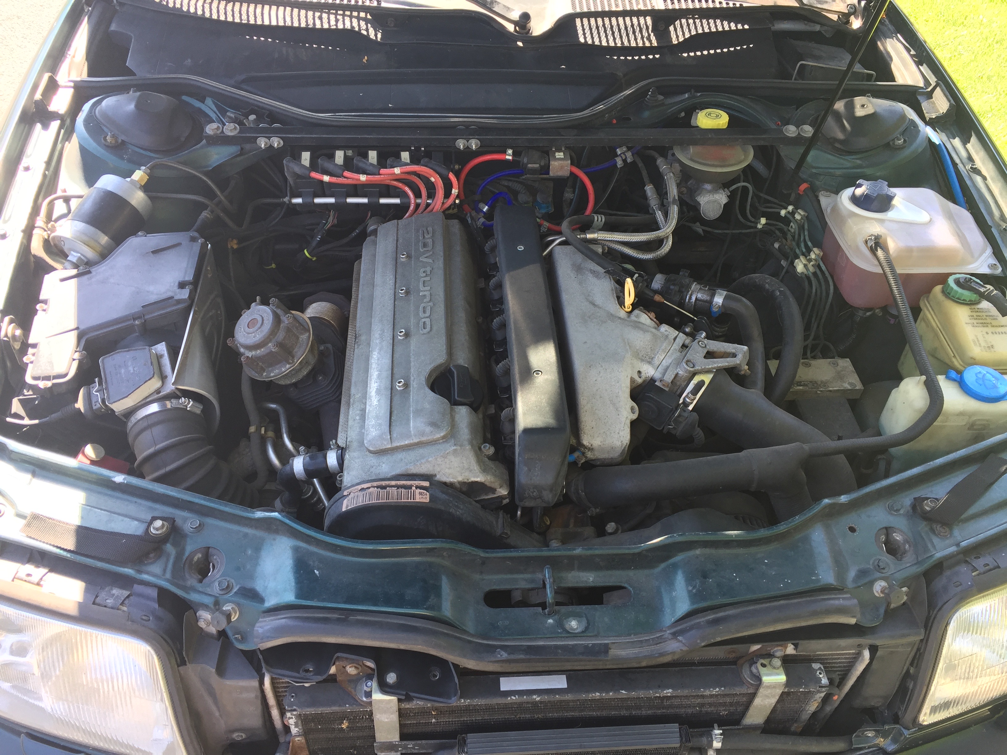 Pretty clean engine bay