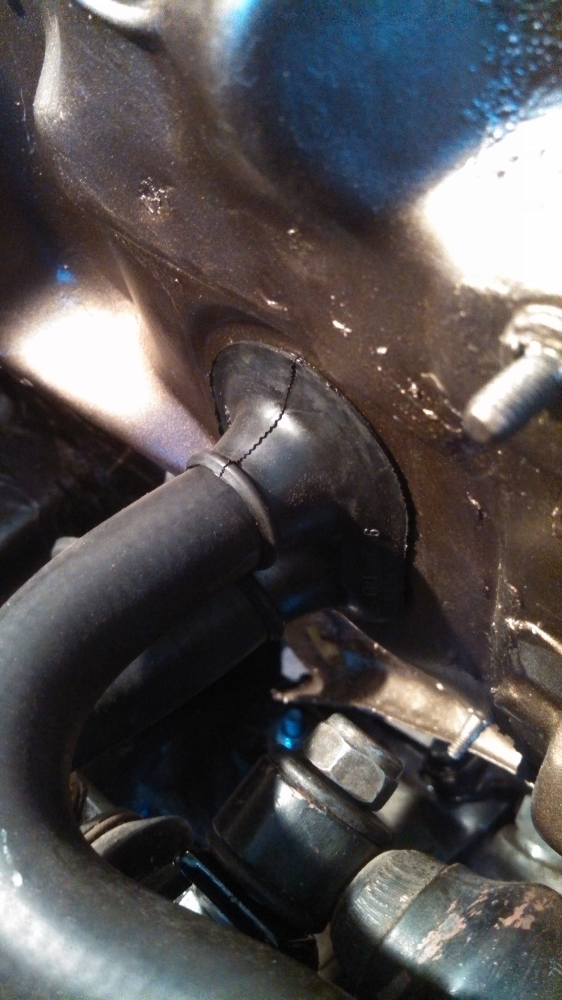 new heater core hoses and grommet.jpg